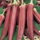 50+ Seeds Okra Seed: Red Burgundy Okra edlcy (Seeds)