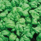 100+ Seeds Spinach Seed: Bloomsdale Spinach edlcy (Seeds)