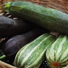 12+ Seeds Squash Seed:Zucchini Mixture edlcy (Seeds)