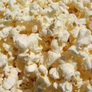 100+ Seeds Popcorn Seed: Purdue 305 popcorn edlcy (Seeds)
