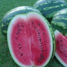 12+ Seeds Watermelon Seed: Crimson Sweet Watermelon edlcy (Seeds)