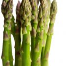 50+ Seeds Asparagus Seed: Asparagus edlcy (Seeds)