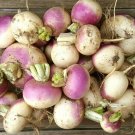 3000+ Seeds Purple Top White Globe Turnip Heirloom Garden Seeds edlcy (1/4 oz Seeds) 3000+ Seeds Purple Top White Globe Turnip Heirloom Garden Seeds edlcy (1/4 oz Seeds)
