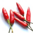 100 Seeds Thai Hot Pepper Heirloom Seeds edlcy (1/2 Gram Seeds) 100 Seeds Thai Hot Pepper Heirloom Seeds edlcy (1/2 Gram Seeds)