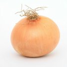 1000 Seeds Sweet Spanish Yellow Onion Heirloom Vegetable Seeds edlcy (1/8 oz Seeds) 1000 Seeds Sweet Spanish Yellow Onion Heirloom Vegetable Seeds edlcy (1/8 oz Seeds)