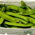 125 Seeds Sugar Snap Pea Seeds edlcy (1 oz Seeds) 125 Seeds Sugar Snap Pea Seeds edlcy (1 oz Seeds)