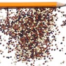 900+ Seeds Quinoa Tri-Color Heirloom Seeds edlcy (1/8 oz Seeds) 900+ Seeds Quinoa Tri-Color Heirloom Seeds edlcy (1/8 oz Seeds)