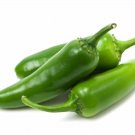 130 Seeds Jalapeno Pepper Heirloom Open Pollinated Seeds (1 Gram Seeds) 130 Seeds Jalapeno Pepper Heirloom Open Pollinated Seeds (1 Gram Seeds)