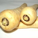 180 Seeds Parsnip Harris Model Seeds (1 Gram Seeds) 180 Seeds Parsnip Harris Model Seeds (1 Gram Seeds)