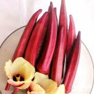 125 Seeds Okra Red Burgundy Heirloom Seeds (1/4 oz Seeds)