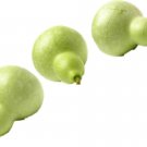 70+ Seeds Birdhouse Bottle Gourd Heirloom Seeds (1/2 oz Seeds)