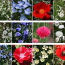 1,000 Seeds Wildflower seeds red, white and blue mix wildflower seed mix (Seeds) 1,000 Seeds Wildflower seeds red, white and blue mix wildflower seed mix (Seeds)