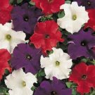 50 Seeds Pelleted Petunia Seeds Dreams Patriot Mix Petunia (Seeds)