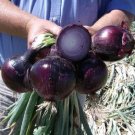 200 Seeds Onion Seeds Red Defender Onion (Seeds)