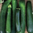 50 Seeds Zucchini Seeds Summer Squash Black Beauty 60 days (Seeds) 50 Seeds Zucchini Seeds Summer Squash Black Beauty 60 days (Seeds)