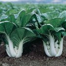 500 Seeds Pak Choi Seeds White Stem Cabbage (Seeds)
