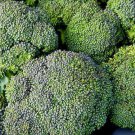 3,000 Seeds Broccoli Seeds Waltham 85 days (Seeds)