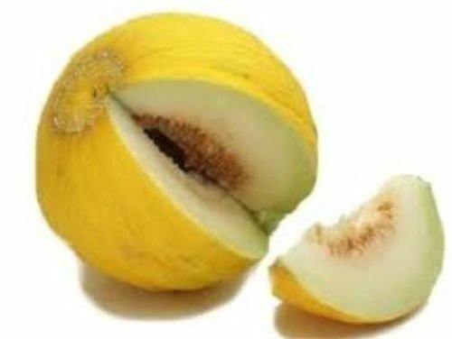 200 Seeds Melon Seeds Casaba Melon (Seeds)