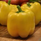25 Seeds Trailblazer Pepper Seeds Yellow Bell Pepper (Seeds) 25 Seeds Trailblazer Pepper Seeds Yellow Bell Pepper (Seeds)