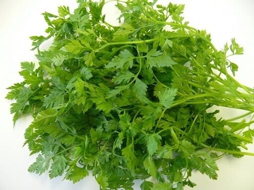 500 Seeds Chervil Seeds Curled HERB (Seeds)