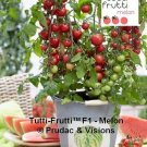 25 Seeds Tomato Seeds Tomato Tutti Frutti Melon Cherry Tomato (Seeds)