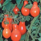 200 Seeds Red Pear Tomato (Seeds)