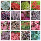 1200 Seeds MIXED COLORS CORAL BELLS HEUCHERA Shade Flower (Seeds) 1200 Seeds MIXED COLORS CORAL BELLS HEUCHERA Shade Flower (Seeds)
