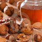 5 Seeds AMERICAN HAZELNUT TREE aka Filbert Corylus Americana Fruit Nut (Seeds)