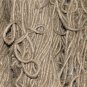 100 Seeds TOSSA JUTE Mallow Corchorus Olitorius African Sorrel Twine Vegetable (Seeds)