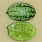 10 Seeds CUCAMELON Melothria Scabra Mouse Melon Mexican Mini Watermelon Fruit (Seeds)