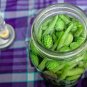 10 Seeds CUCAMELON Melothria Scabra Mouse Melon Mexican Mini Watermelon Fruit (Seeds)