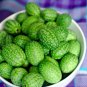 10 Seeds CUCAMELON Melothria Scabra Mouse Melon Mexican Mini Watermelon Fruit (Seeds)