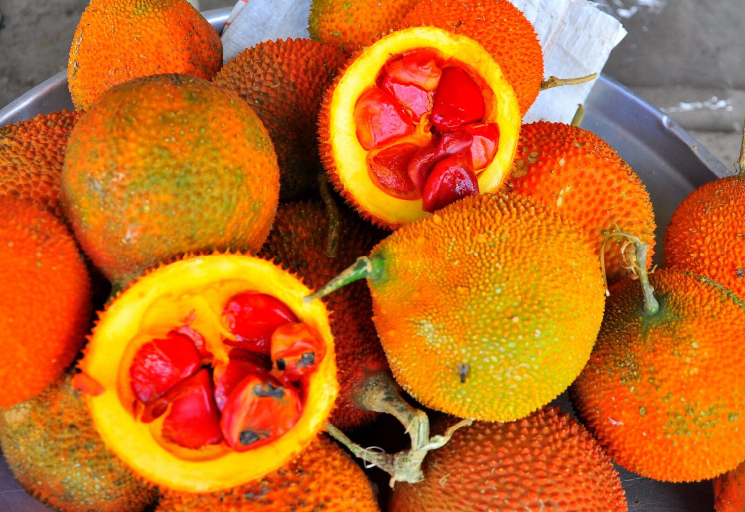 2 Seeds GAC FRUIT Gac Melon Vine Momordica Cochinchinensis (Seeds)