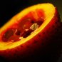 2 Seeds GAC FRUIT Gac Melon Vine Momordica Cochinchinensis (Seeds)