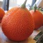 2 Seeds GAC FRUIT Gac Melon Vine Momordica Cochinchinensis (Seeds)