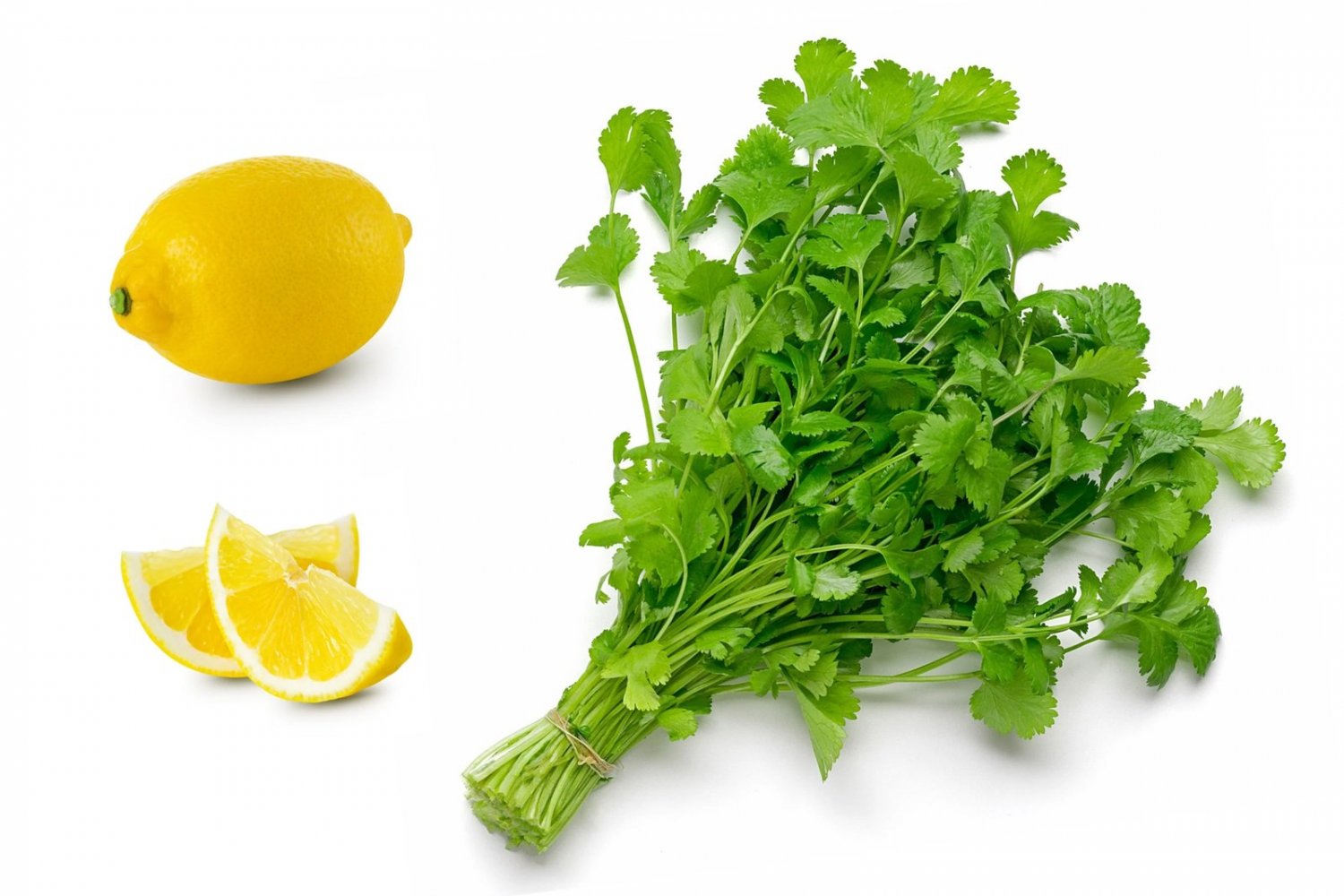 25 Seeds Organic DWARF LEMON CILANTRO Coriander Spice Coriandrum Sativum Herb (Seeds)