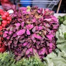 150 Seeds TRIPLE PURPLE ORACH Mountain Spinach Atriplex Hortensis Leaf Vegetable (Seeds)