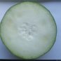 20 Seeds WAX GOURD Winter Melon White Ash Benincasa Hispida Vegetable (Seeds)