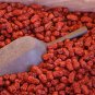 20 Seeds RED CHINESE DATE TREE Edible Fruit Jujube Ziziphus Jujuba Yellow Flower (Seeds)