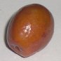 20 Seeds RED CHINESE DATE TREE Edible Fruit Jujube Ziziphus Jujuba Yellow Flower (Seeds)