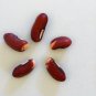 25 Seeds RED NOODLE BEAN Yard Long Asparagus Bean Chinese Phaseolus Vegetable (Seeds)