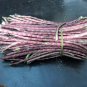 25 Seeds RED NOODLE BEAN Yard Long Asparagus Bean Chinese Phaseolus Vegetable (Seeds)