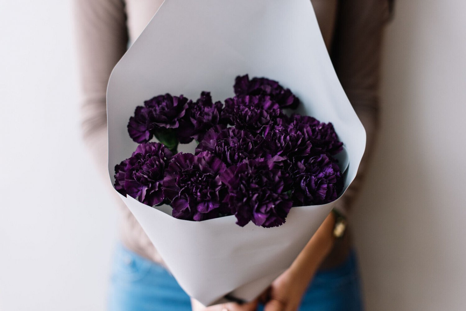 50 Seeds BLACK CARNATION King of Blacks Dianthus Caryophyllus Grenadin