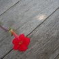 100 Seeds Twinkle RED MONKEY FLOWER Mimulus (Seeds)