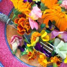 1/2 tbsp of Seeds EDIBLE FLOWER MIX 16 Types Marigold Daisy Viola Safflower Alyssum Hyssop (Seeds) 1/2 tbsp of Seeds EDIBLE FLOWER MIX 16 Types Marigold Daisy Viola Safflower Alyssum Hyssop (Seeds)