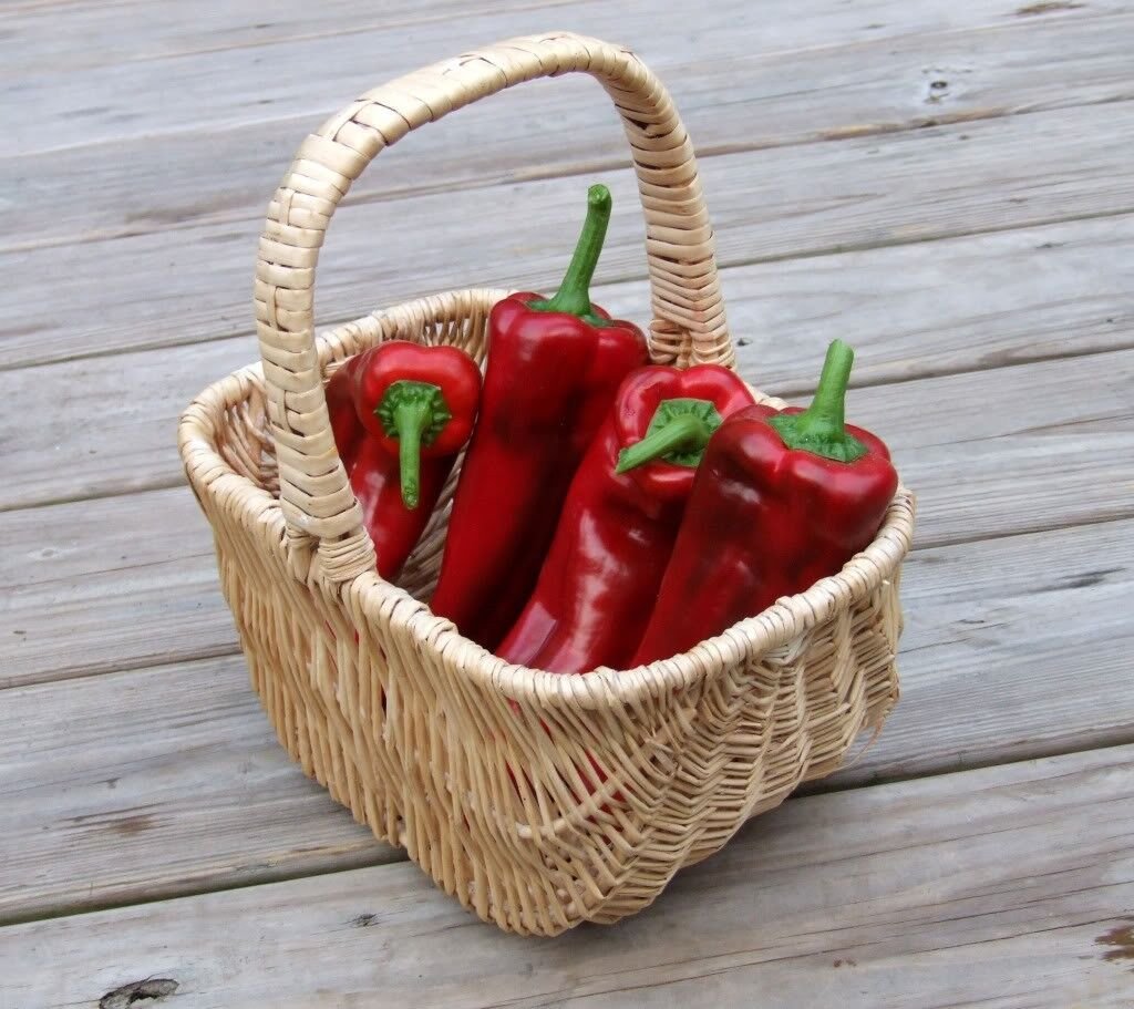 60 Seeds RED MARCONI PEPPER Rossa Large Sweet Italian Frying Capsicum Annuum (Seeds)