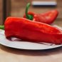 60 Seeds RED MARCONI PEPPER Rossa Large Sweet Italian Frying Capsicum Annuum (Seeds)