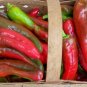 60 Seeds RED MARCONI PEPPER Rossa Large Sweet Italian Frying Capsicum Annuum (Seeds)