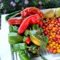 60 Seeds RED MARCONI PEPPER Rossa Large Sweet Italian Frying Capsicum Annuum (Seeds)