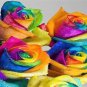 5 Seeds Make Your Own - RAINBOW ROSE BUSH Seeds Shrub Rosa Flower (Seeds)